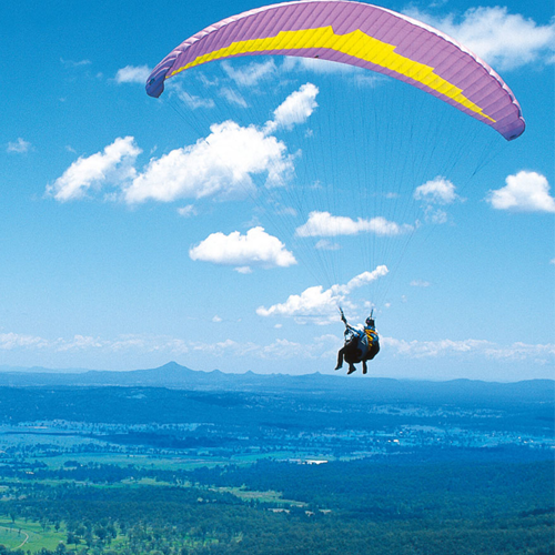 5-reasons-you-should-not-become-aflight-attendant-adventure