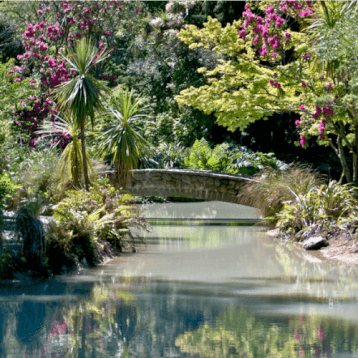 Christchurch_Botanic_Garden - WOC layover tips