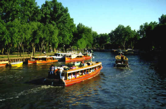 Tigre 