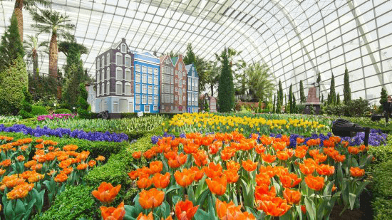 WOC Layover tips - Flower Dome
