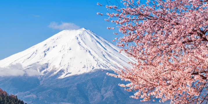 Tokyo Layover-Mt Fuji