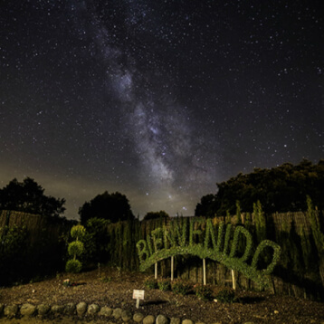 Enchanted Forest at Madrid