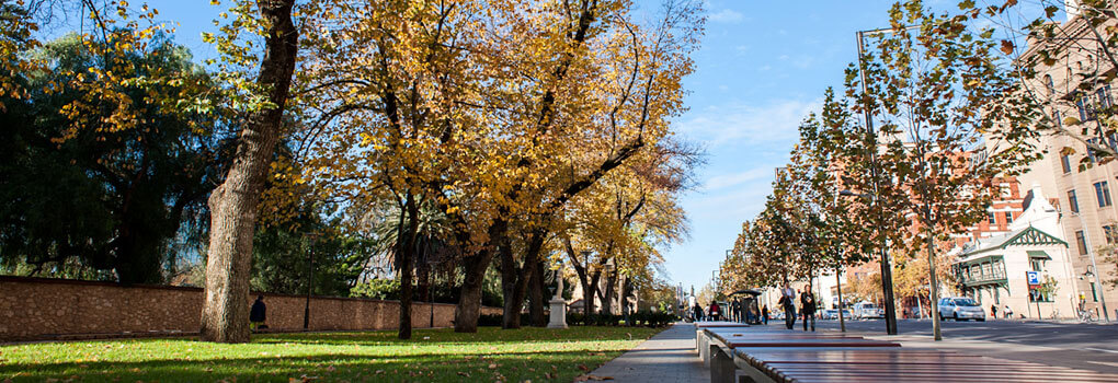 The North Terrace