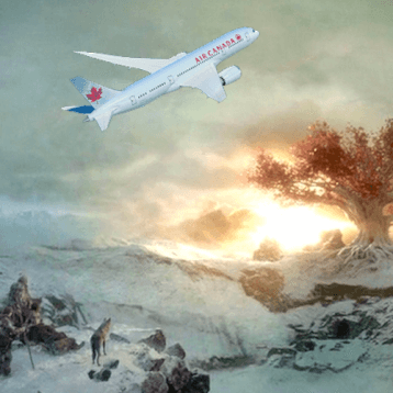 game-of-airlines-air-canada