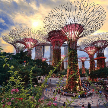 WOC Layover tips - Gardens by the Bay