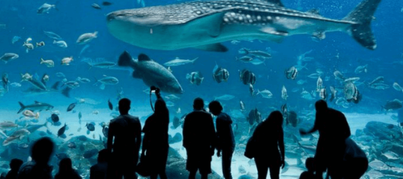 A refreshing experience for travellers