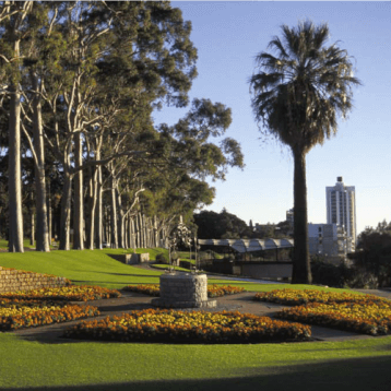 kings park- WOC layover tips
