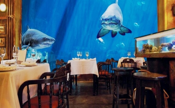 The Cargo Hold Restaurant