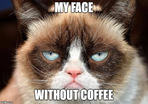flight-attendant-will-conquer-the-world-no-coffee-2 copy